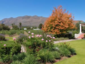 Montagu Vines Guesthouse