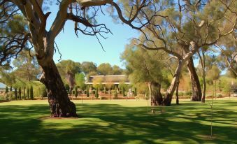 a lush green park with a large tree in the center , surrounded by a lawn and several benches at Jacobs Creek Retreat