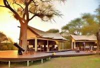 Rhino Walking Safaris Hotels near Skukuza Airport