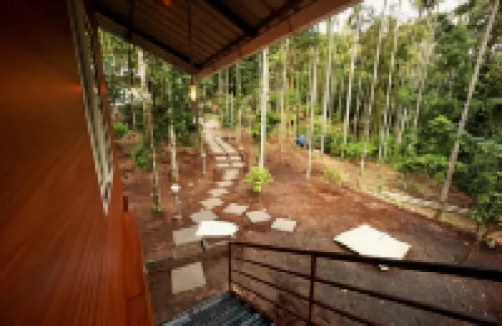 Cave Valley Wayanad