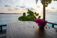 Sun & Surf Thulusdhoo - Scenic