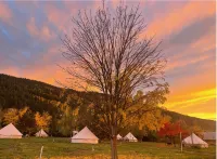Utopia Feels Botanical Glampground and Micro-Farm Hotels in North Okanagan C
