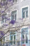Emporium Lisbon Suites - Pensions