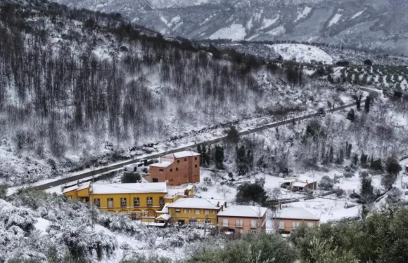 索萊勒餐廳旅館