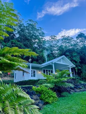 Nightcap Ridge - Byron Bay Hinterland