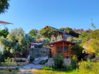 Selenes Pansiyon Hotels in Kapıkırı