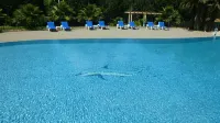 Hotel la Romarine - Pools