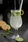 Megaland Hotel Solo - bar