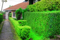 Lushoto Executive Lodge Hoteles cerca de Mtonga juu playground