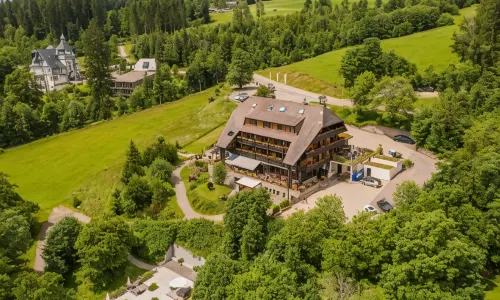 Alemannenhof - Boutique Hotel am Titisee