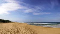 Sonesta Inns Beach Resort - Candolim Beach - รีสอร์ท