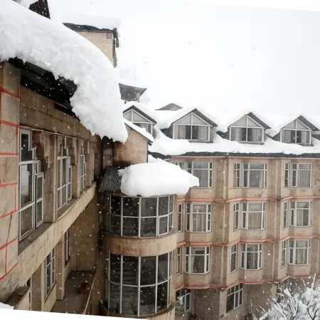 Bravia Hotel Manali Inn