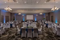 Hilton Garden Inn DFW Airport South