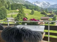 Guest Rooms with a Great View at Residence Brunner - Mountain view