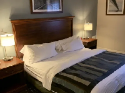 Wingate by Wyndham Brighton Hotels in Brighton