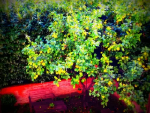 St. John Villa Hôtels à proximité de : Colisée