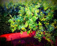 St. John Villa Hotels in San Giovanni