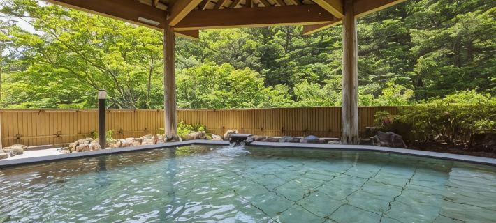 Itoen Hotel Shima Hotels in Agatsuma District