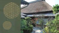 甲賀流忍者之宿 宮乃溫泉 甲賀市住宿飯店
