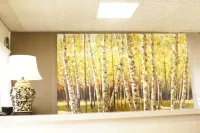 Country Lodge Motor Inn