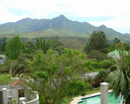 チェリー ベリー ゲスト ハウス ジョージのホテル