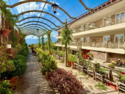 Nidimos Hotel Hotels in Delphi