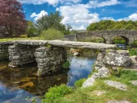 Escape to The Coach House, our picturesque and cosy cottage - 3-Star
