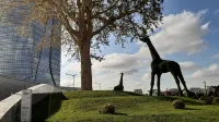 NestOne - Apartment hotels - 絶景