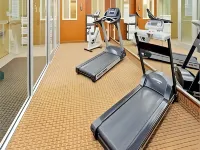 Holiday Inn Express & Suites FRACKVILLE by IHG - Gym
