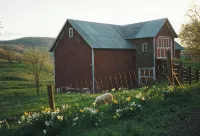 Farm Stay in Catskills Farmhouse Suite - Chalets