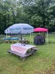Comfortable Camper a few miles off thruway and area attractions. Fire ring wood - 2-Star