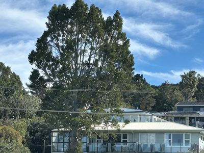 Whitianga Beachfront, with extensive views across Mercury Bay.