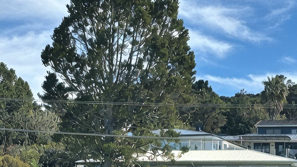 Whitianga Beachfront, with extensive views across Mercury Bay.