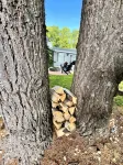 W Lake Mitchell. Priv Shared Frontage. Snow Trail Access.Caberfae Peaks,15 Miles - Wi-Fi