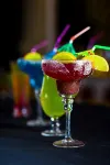 The Last Village Lodge - bar