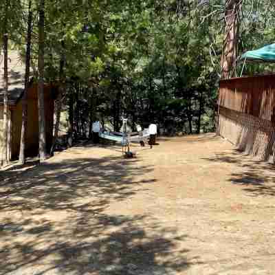 Bear’s Lair Cabin, Willow Cove, Bass Lake Hotel Exterior