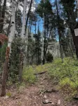 Private/Cozy 2 bedroom mountain cabin Serenity now - 3-Star