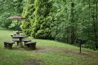 Hiawassee river cabin $ 85 per night  ON THE BEAUTIFUL HIAWASSEE RIVER - 3 tähden