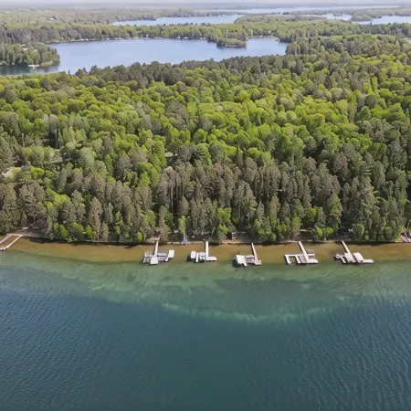 Unwind on the Whitefish Chain of lakes! Beautiful Big Trout Lake Home!