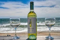 Charm Getaway - Oceanfront family home in a quiet stretch of Surf City ! - Boutique