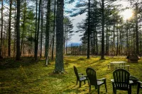 NEW Whiteface Mtn. View Cabin close to Lake Placid - Alphydda