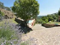 Holiday home in Tuscany with 3 bedrooms