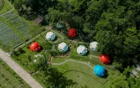 K Gallery Hotel