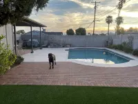 3Bd House with Pool Conveniently Located Near Scottsdale, Tempe, and Papago Park - مسبح خاص