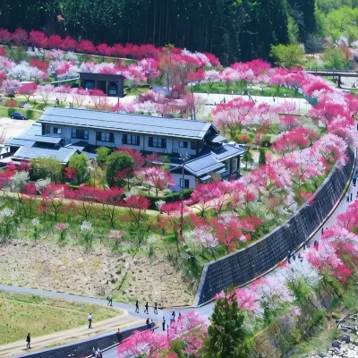Gessen Hotels near mokki ～STARDUST GLAMPING～