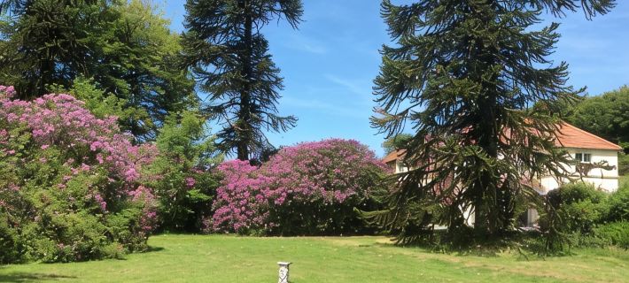 Moorlands Hotels in North Devon