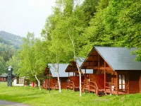 Katashina Kogen Child Lodge - غرفة مطلة على الجبل
