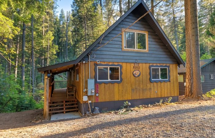 Creek Cabin - Fly-in Acres Lake Access - private Creek access with fire pit
