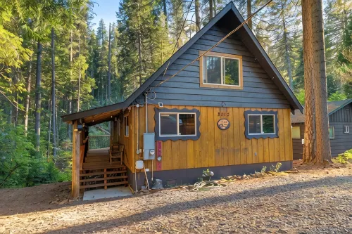 Creek Cabin - Fly-in Acres Lake Access - private Creek access with fire pit