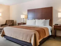 Comfort Inn Salida Hotels in Salida